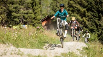Trailpark_Galtuer_2024 (27).jpg | © Erwin Haiden