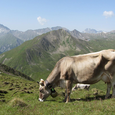 Bild | © Tourismusverband Paznaun - Ischgl