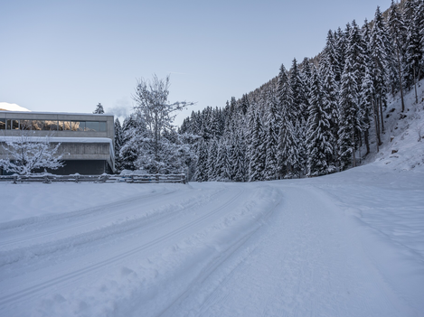 Mittelschule - Kappl Dorf | © Bernhard Gruber Photography