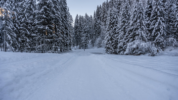 Mittelschule - Kappl Dorf | © Bernhard Gruber Photography