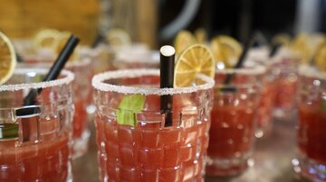 Eine Reihe von Cocktails in gläsernen Bechern mit Zuckerrand. Jeder Drink ist mit einer Zitronenscheibe und einem Strohhalm dekoriert.