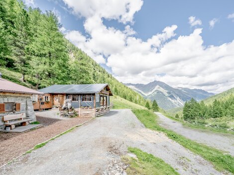 A picturesque mountain landscape with green forests and impressive peaks. In the foreground stand two cozy cabins.