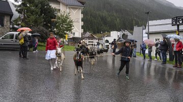 Ein Junge führt eine Gruppe von Ziegen durch eine regnerische Straße, während eine Frau in einem roten Mantel zuschaut. Im Hintergrund sind Zuschauer und Häuser in den Bergen sichtbar.