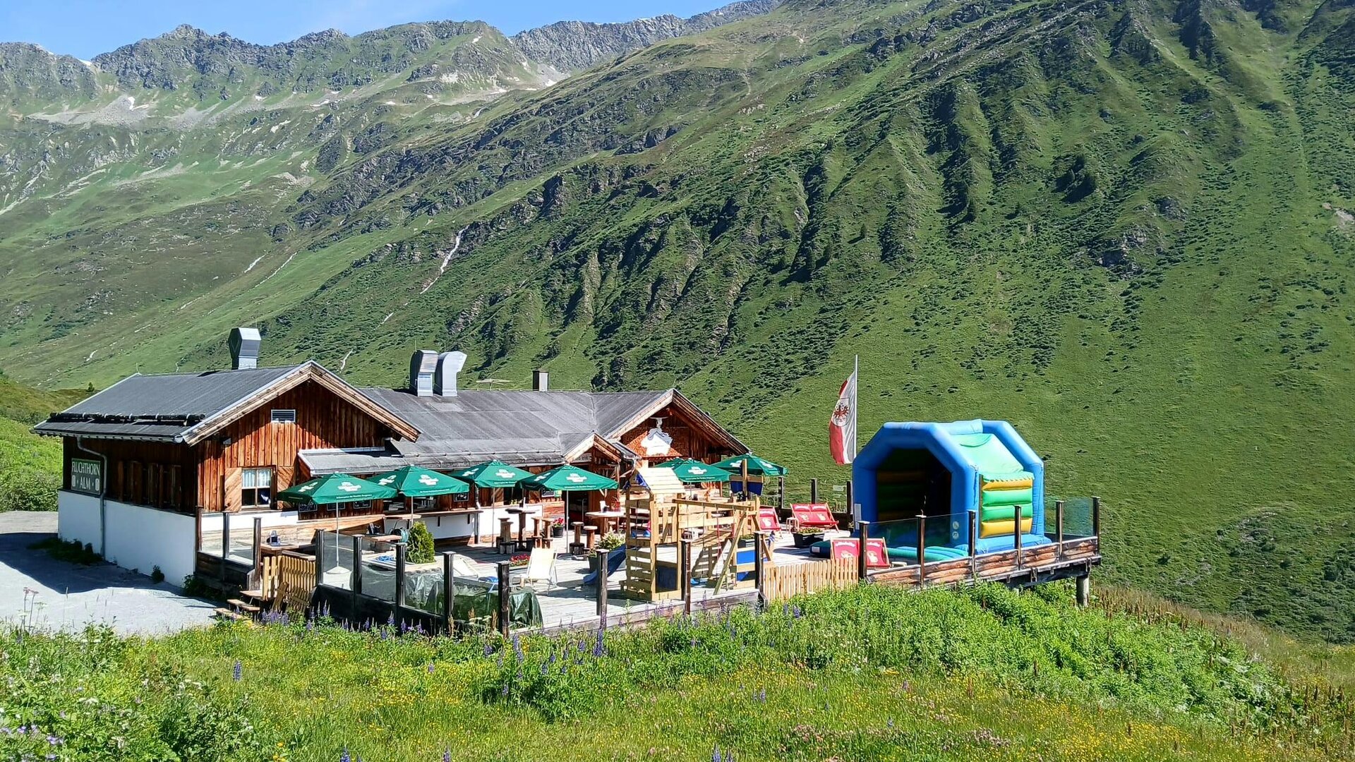 alm Sommer alm Sommer