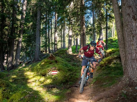 Trailday und Fahrtechniktraining