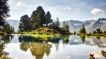 Ein ruhiger See mit klaren Wasser, umgeben von grünen Bäumen und Bergen. Die Reflexion der Landschaft im Wasser erzeugt eine malerische Atmosphäre.