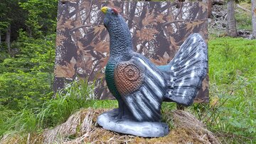 Eine farbenfrohe Statue eines Auerhuhns steht auf einem begrünten Boden. Im Hintergrund ist eine camouflageartige Tafel zu sehen, umgeben von Bäumen.