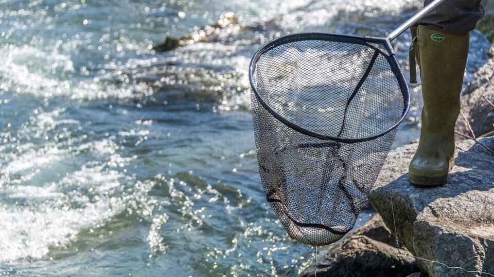 Eine Person steht am Ufer eines Gewässers und hält ein Netz in der Hand. Im Wasser sind spiegelnde Wellen zu sehen.