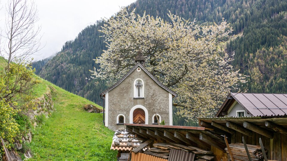Eine kleine Kirche mit einem blühenden Baum in der Nähe. Im Hintergrund sind grüne Wiesen und Berge zu sehen. | © Bernhard Gruber – Photography