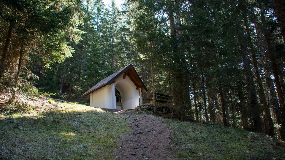 Eine kleine Hütte steht auf einem Hügel zwischen hohen Bäumen. Der Weg dorthin ist leicht zu erkennen und führt durch den Wald. | © ©Bernhard Gruber – Photography