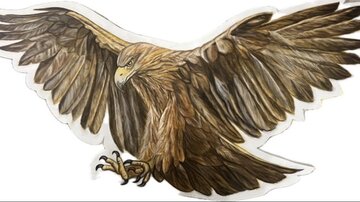 Ein majestätischer Adler mit ausgebreiteten Flügeln. Seine federn sind in braunen und goldenen Tönen gehalten.