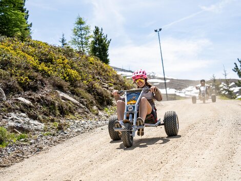Sunny Mountain Carts